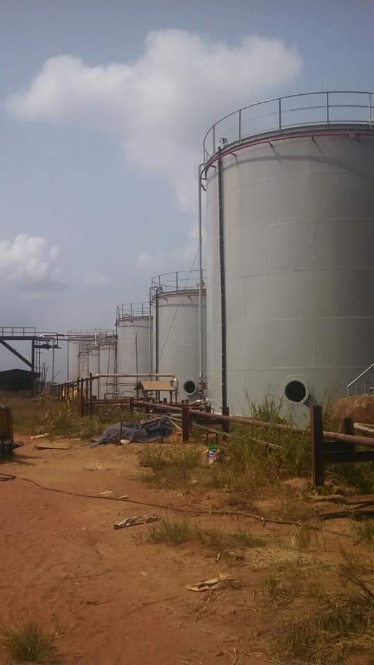 Vegetable oil storage tanks